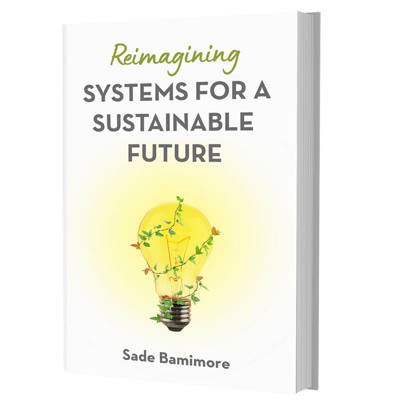Sade-Bamimore-Reimagining-systems.jpg